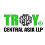 Логотип компании TOO “Troy Central Asia“ (Алматы)