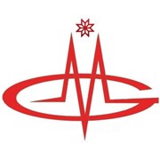 Логотип компании Новосиб-Ноосфера, ООО (Новосибирск)