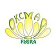 Логотип компании Оксмар flora (Алматы)