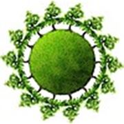 Логотип компании ТОО “Green Nature“ (Астана)