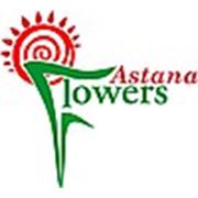 Логотип компании ТОО “Astana-Flowers“ (Астана)