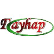 Логотип компании Салон Цветов “Гаухар“ (Актюбинск)