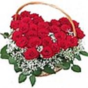 Логотип компании магазин-салон цветов “ОРХИДЕЯ“ (Усть-Каменогорск)