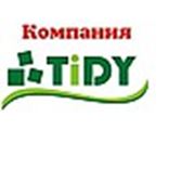 Логотип компании ТОО TIDY (Караганда)