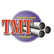 Логотип компании ТОО Торговая Марка «Тамыз» (Алматы)