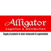 Логотип компании ТОО “Аллигатор-Продукт“ (Астана)