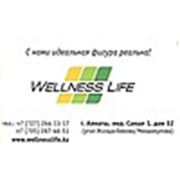 Логотип компании WellnessLife (Алматы)