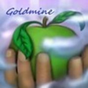 Логотип компании Интернет-магазин “Goldmine“ (Павлодар)