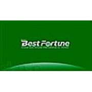 Логотип компании ТОО “Best Fortune“ (Актюбинск)