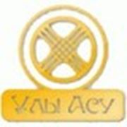 Логотип компании ТОО «УЛЫ АСУ AZIA» (Караганда)