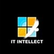Логотип компании ТОО “IT-INTELLECT“ (Алматы)