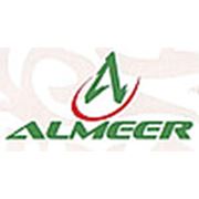 Логотип компании ТОО «АЛМЕЕР» (Астана)