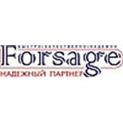 Логотип компании Forsage (Алматы)