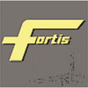 Логотип компании TOO “EK Fortis“ (Астана)