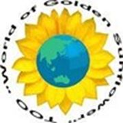 Логотип компании ТОО «World of Golden Sunflower» (Алматы)