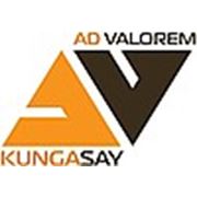 Логотип компании ТОО «Центр по оценке и неплатежам «Эдвелорим Кунгасай» (Алматы)
