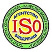 Логотип компании ТОО «Агентство внедрения ИСО» (Алматы)