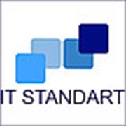 Логотип компании ИП “IT STANDART“ (Алматы)