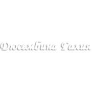 Логотип компании “Учимся мыслить по-казахски“ (Алматы)