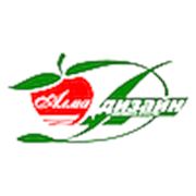 Логотип компании ТОО Алма Дизайн (Алматы)