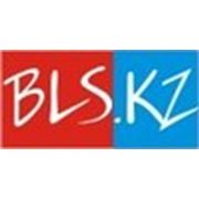 Логотип компании BLS.KZ (Алматы)