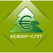 Логотип компании Бобер-Элит, ЧП (Луцк)