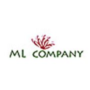 Логотип компании ML company (Алматы)