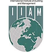 Логотип компании Международный институт аудита и менеджмента (Алматы)