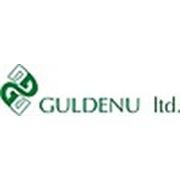 Логотип компании ТОО “Guldenu“ (Алматы)