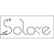 Логотип компании Студия “Solove“ (Алматы)