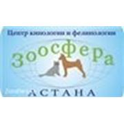 Логотип компании ОО «Центр кинологии и фелинологии «Зоосфера» (Астана)