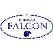 Логотип компании IT-FALCON (Алматы)