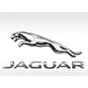 Логотип компании “Jaguar.ltd“ (Алматы)