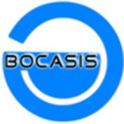 Логотип компании “BOCASIS“ srl (Унгень)