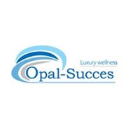 Логотип компании Opal-Succes SRL (Кишинёв)