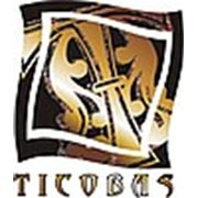 Логотип компании TICOBAS SRL (Кишинёв)