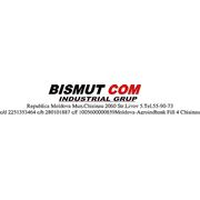 Логотип компании Bismut-Com (Кишинёв)