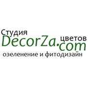 Логотип компании Decorza - студия цветов, ЧП (Киев)