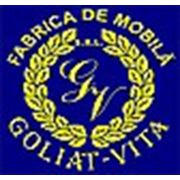 Логотип компании GOLIAT-VITA SRL (Комрат)