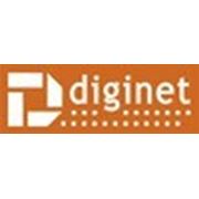 Логотип компании Diginet.md — Создание электронных магазинов. Информационные технологии в туризме (Кишинёв)