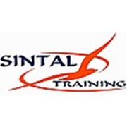 Логотип компании Sintal (Кишинёв)