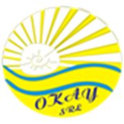 Логотип компании ОКЕЙ (Кишинёв)