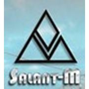 Логотип компании Salant-M (Кишинёв)