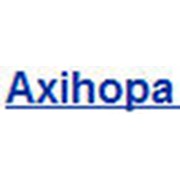 Логотип компании Axinopa (медицинские системы Neusoft), ООО (Киев)