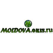 Логотип компании Moldova.okis.ru (Кишинёв)