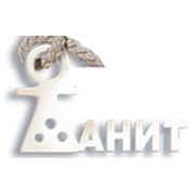 Логотип компании TANIT LTD (Кишинёв)