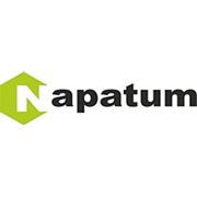 Логотип компании ООО “Напатум Трейд“ (Киев)