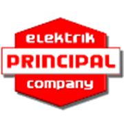 Логотип компании Principal Elektrik (Киев)