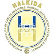 Логотип компании Halkida LLC (Киев)