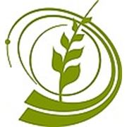 Логотип компании ЗАО НПО «Аэрокосмоэкология Украины» (Харьков)